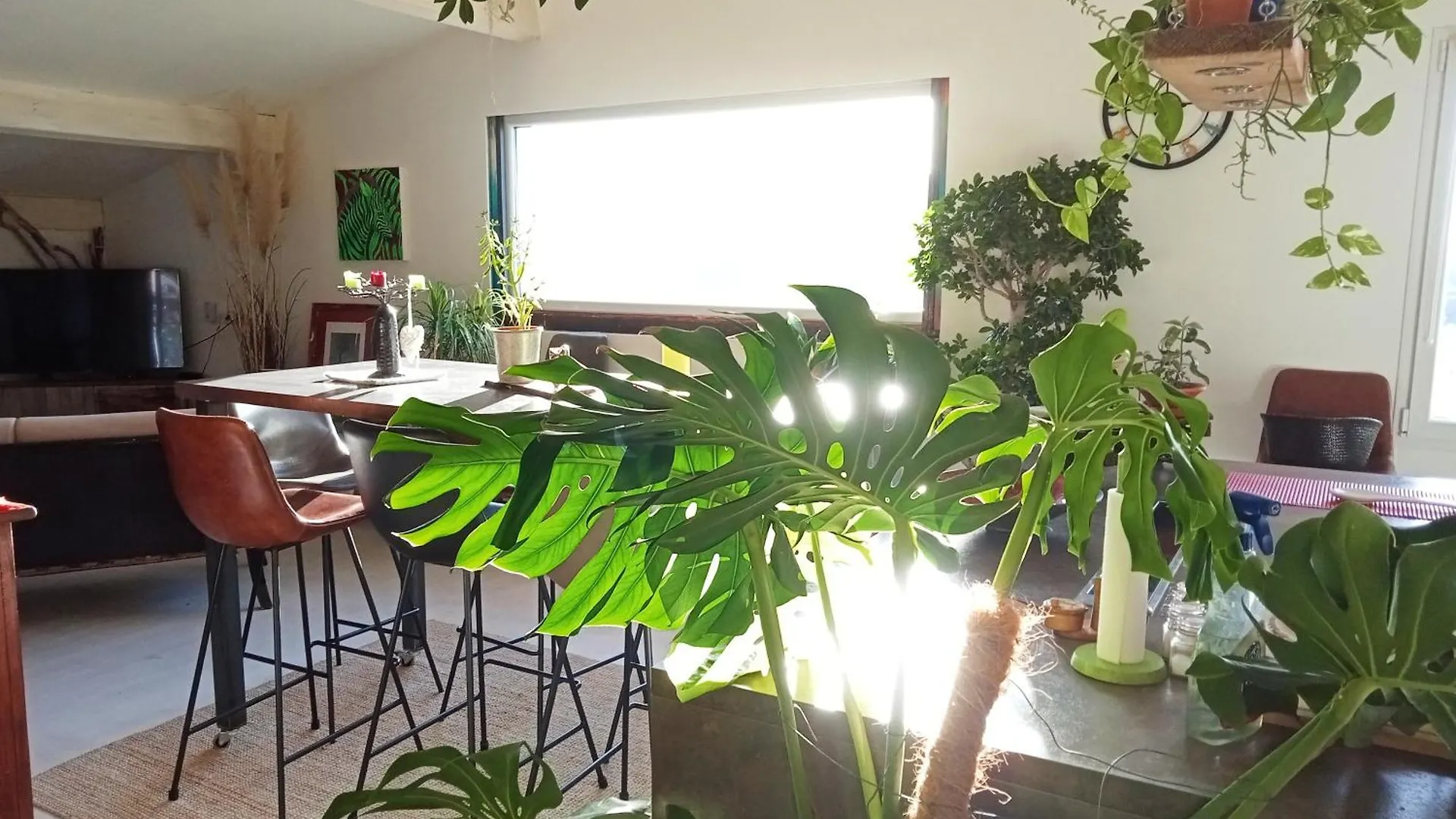 Logement De Charme Avec Piscine Et Jacuzzi Carnoules  Appartement Carnoules (Var)